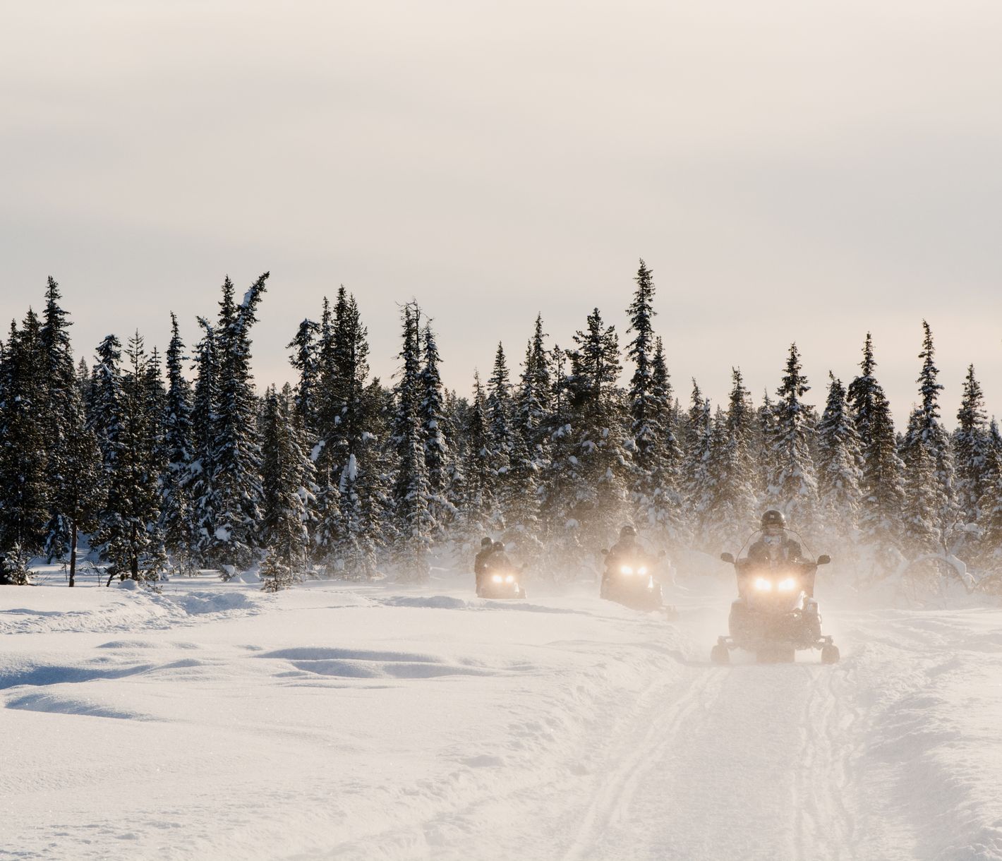 Gemeinsam Lappland mit dem Schneemobil erkunden