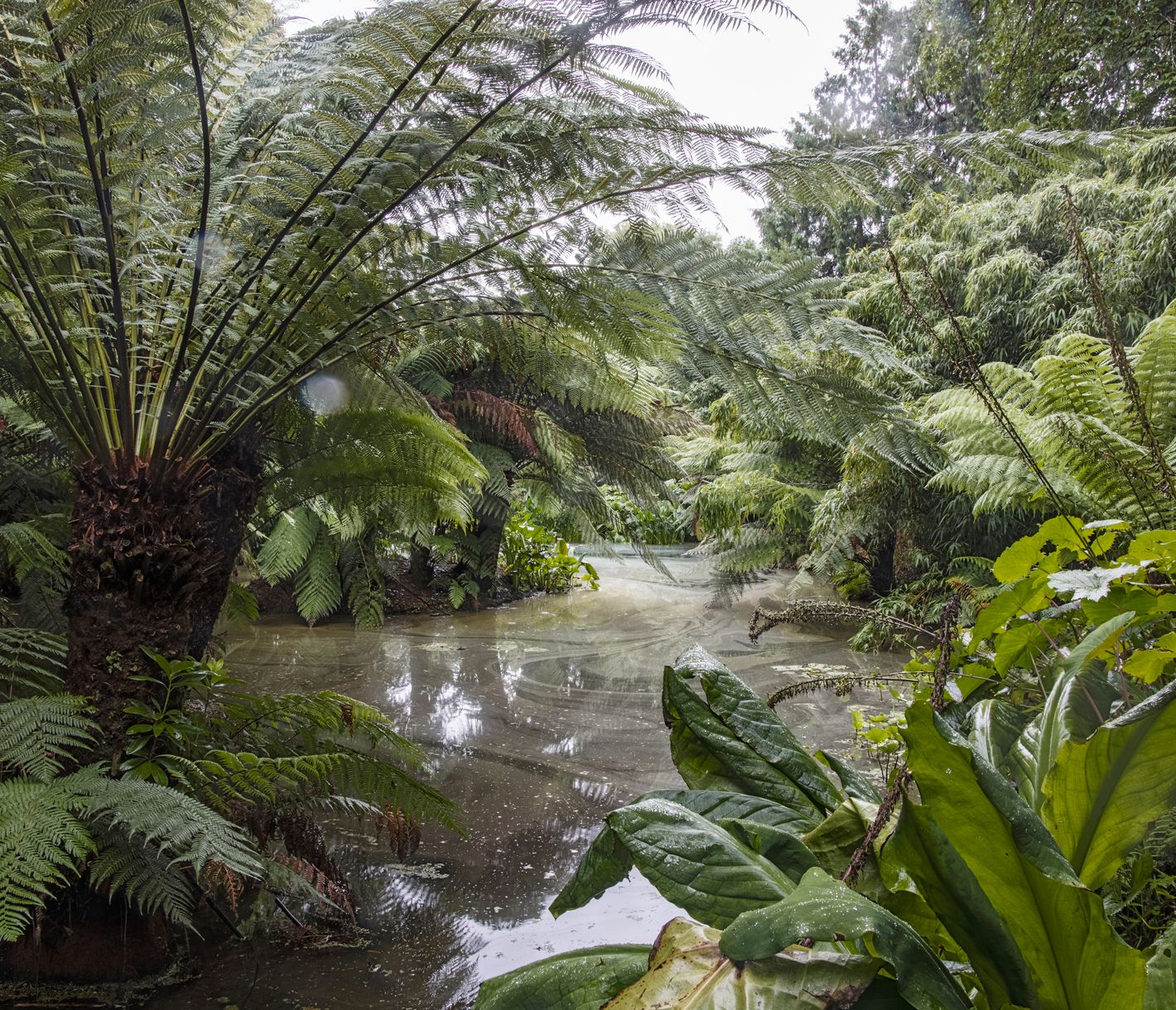 Bezaubernde Gartenanlage
