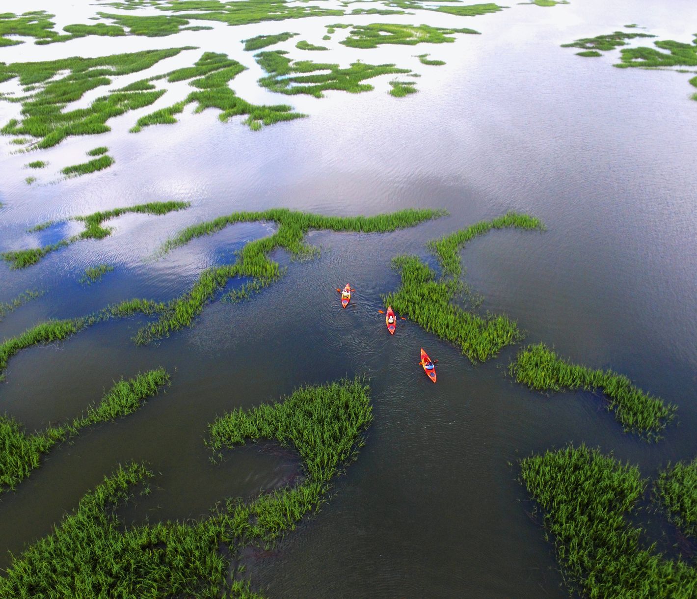 Ein Grossteil von Hilton Head Island besteht aus Marschland und lädt zu Bootstouren und Delfinbeobachtungen ein.