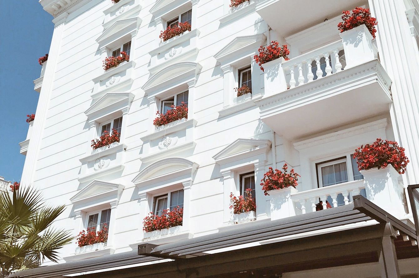 Flower Hotel