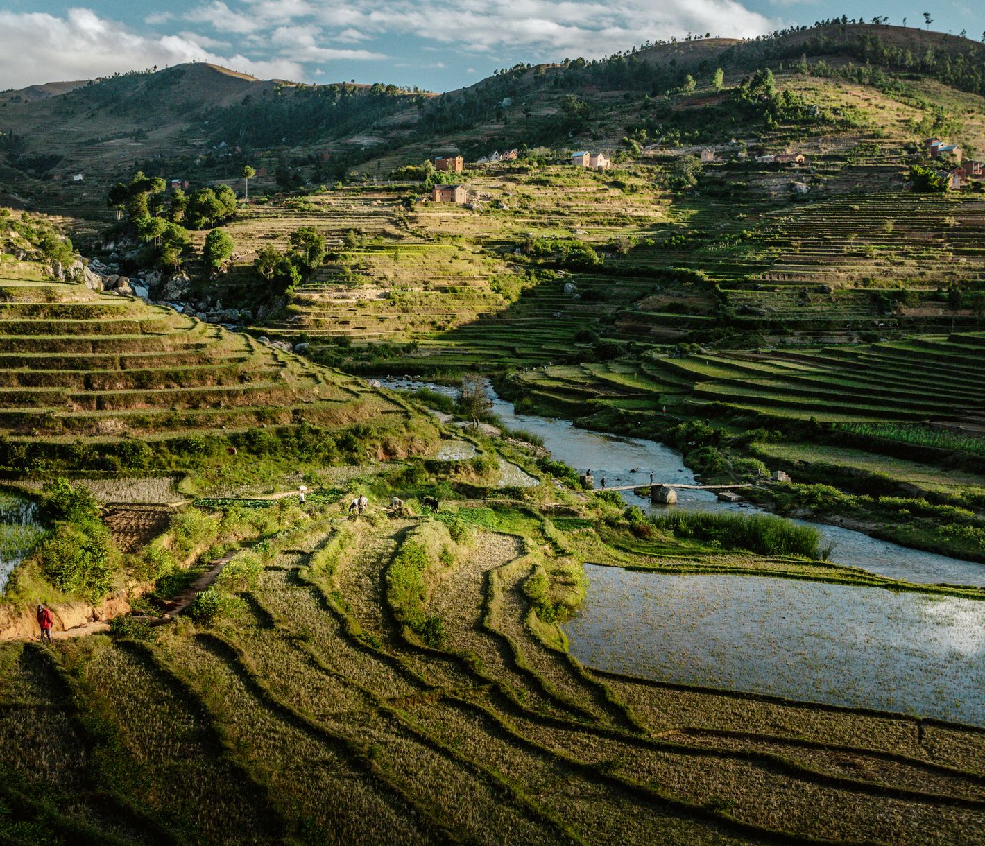Reisfelder mit kleinen Siedlungen – typisches Landschaftsbild des Hochlands