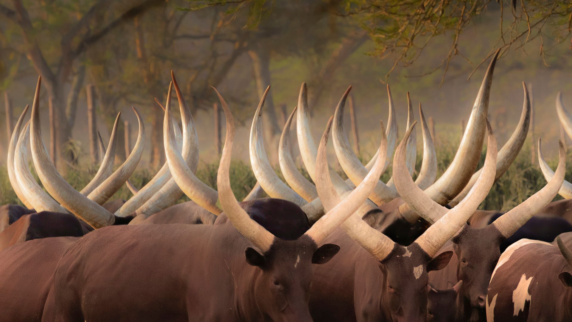 Rencontre au fil de la route en Ouganda