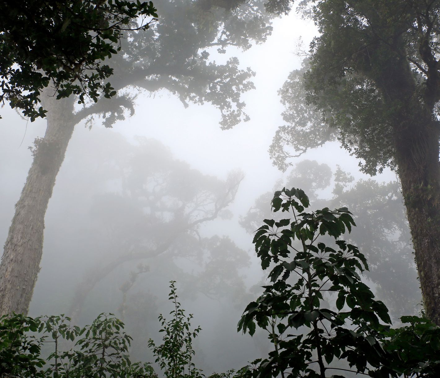 Aktiv unterwegs in Boquete