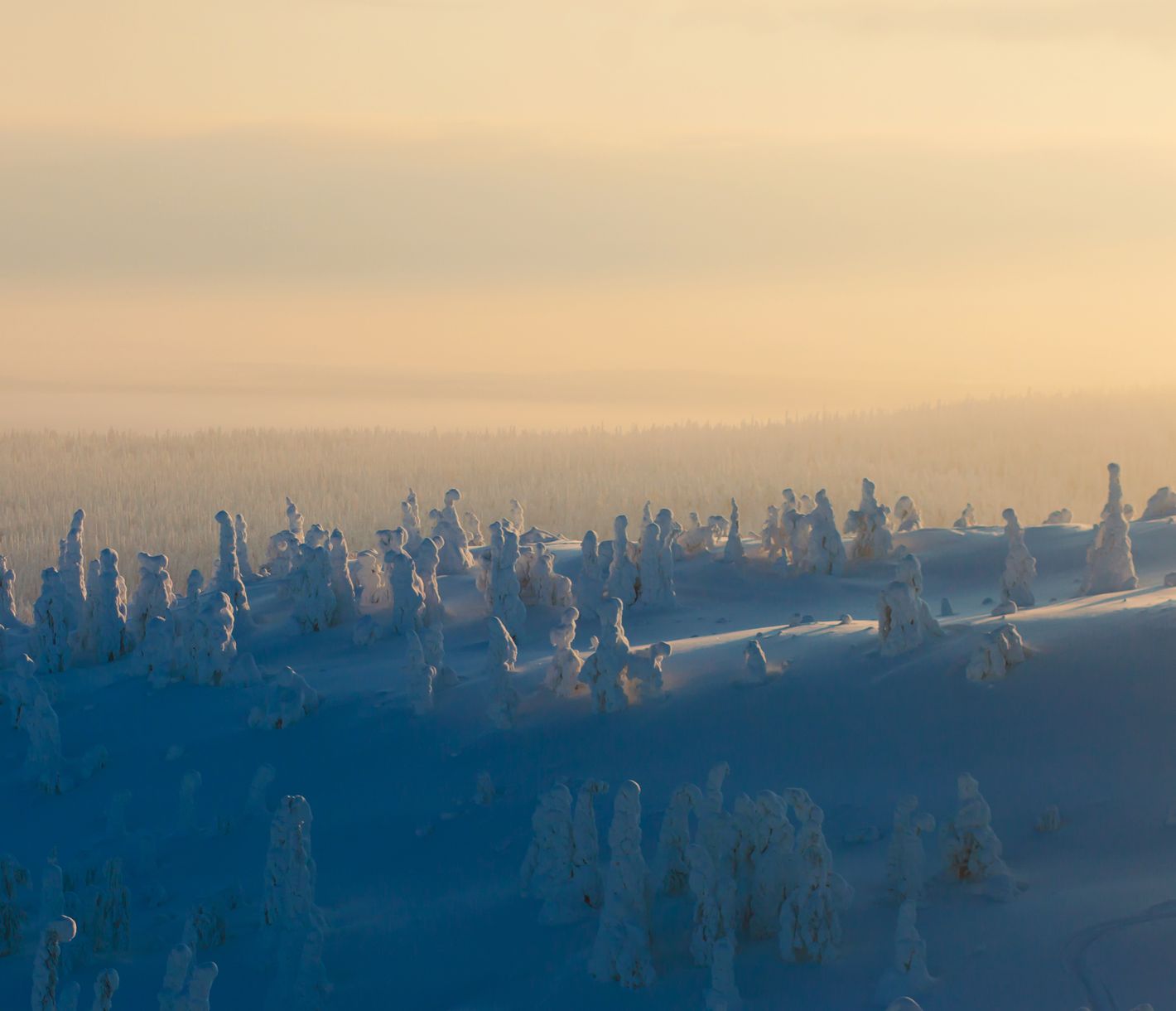 Winterlandschaft in der Dämmerung