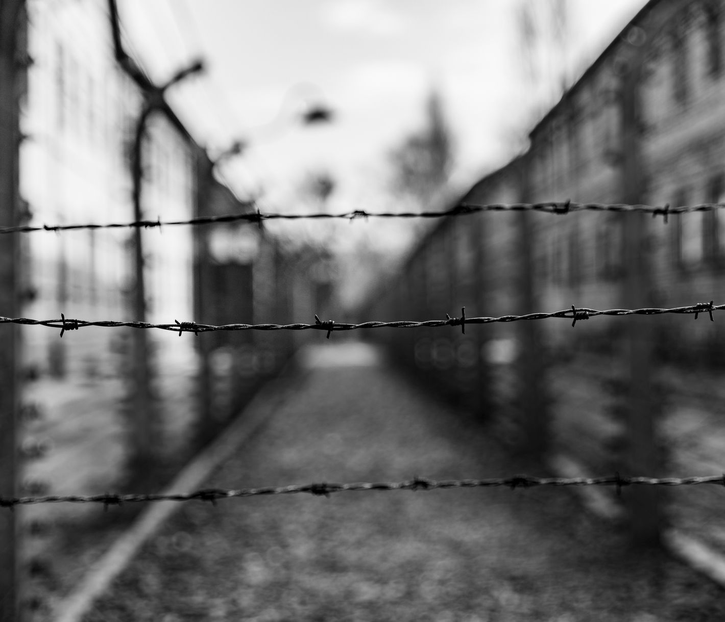 Ein Ort des Schreckens – das ehemalige Konzentrationslager Auschwitz-Birkenau