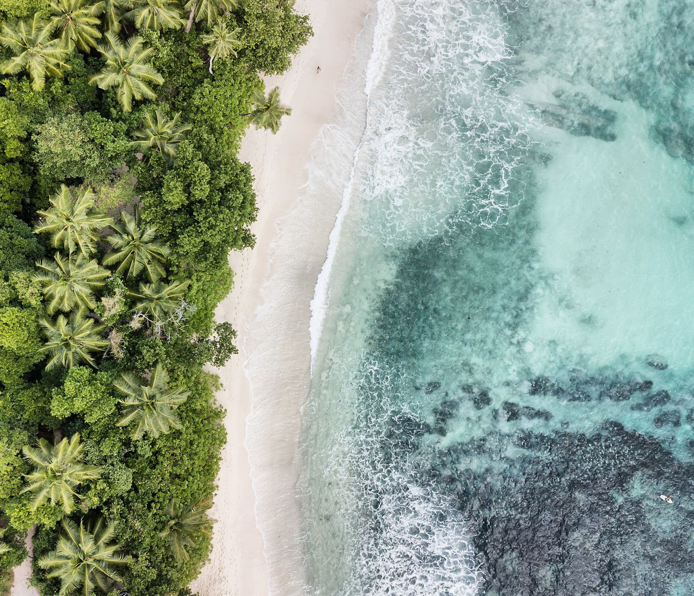 Si vous êtes à la recherche d’une plage carte postale, vous la trouverez à l’Anse Takamaka.