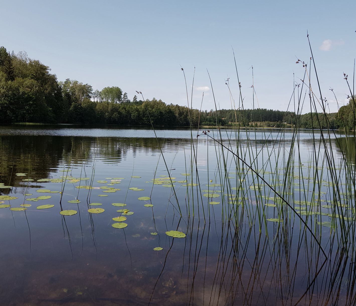 Unterwegs findet man immer wieder ein schönes Plätzchen für einen Halt.