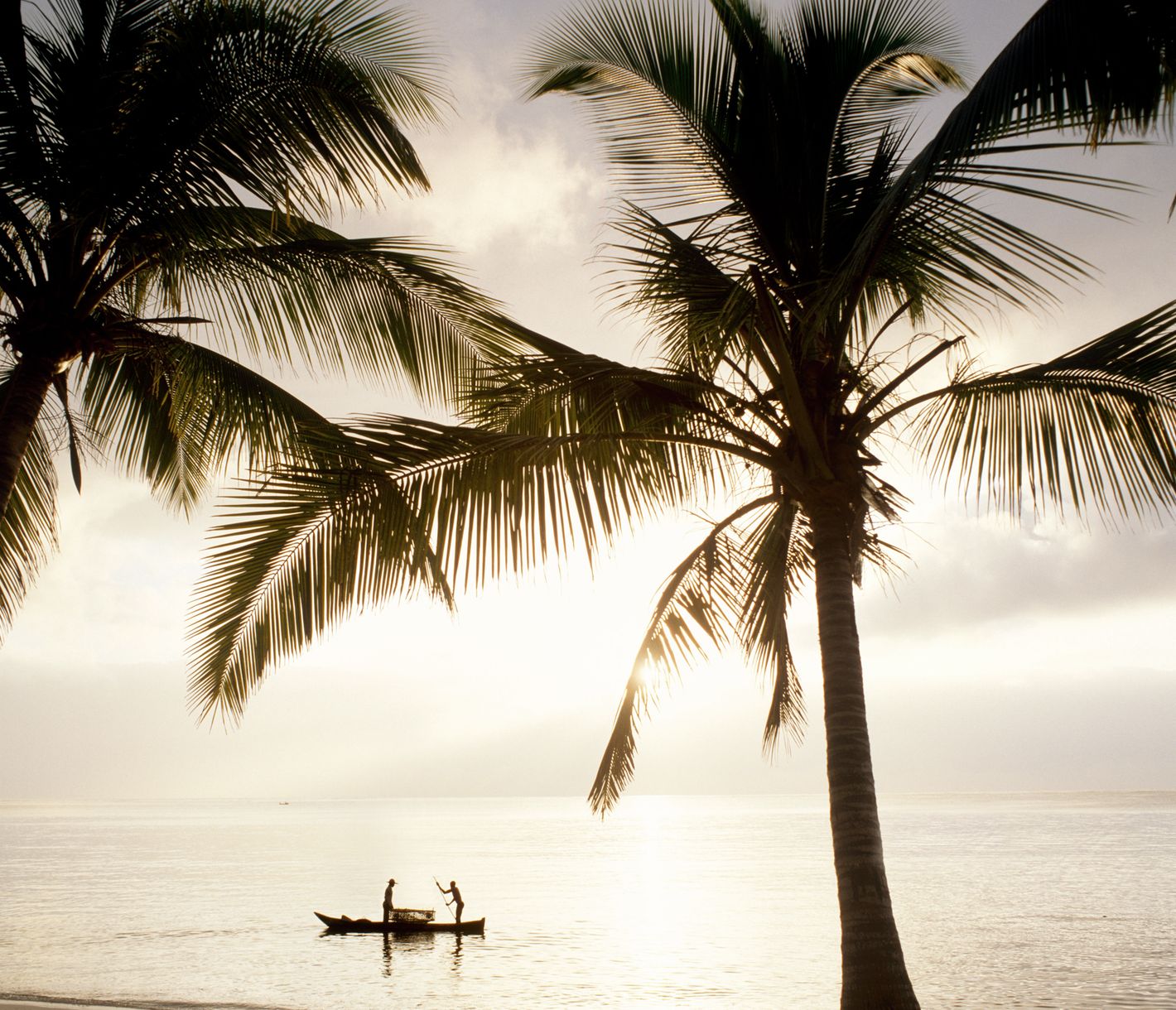 Un repos bien mérité !