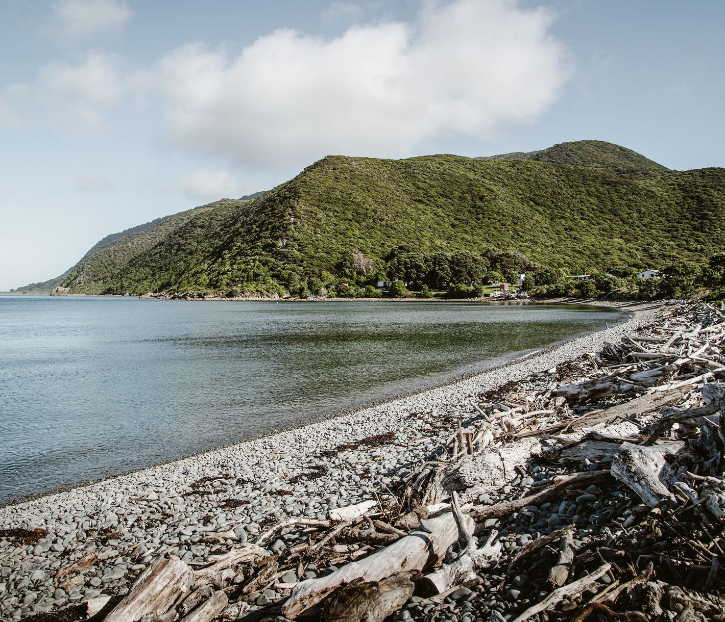 Kapiti Island