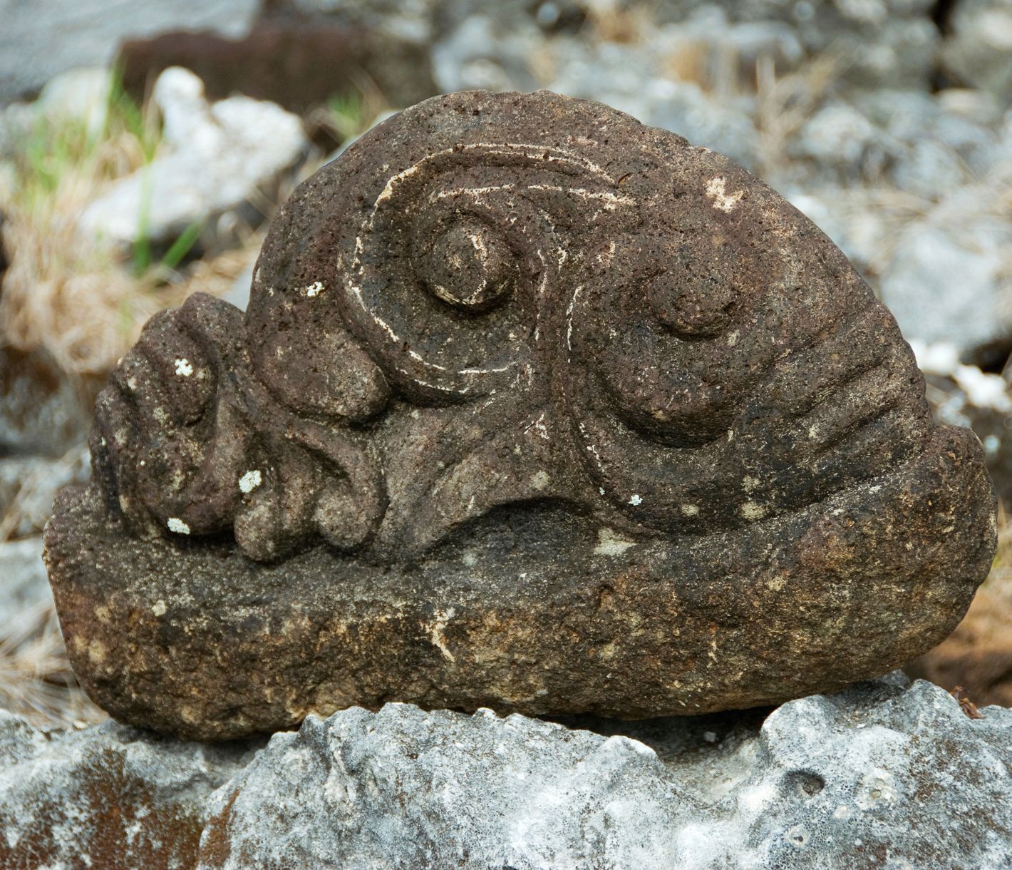De bonnes connexions avec les dieux ?