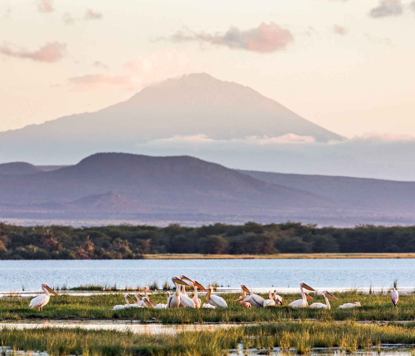 Blick über den Amboseli-Sumpf zum Mount Meru in Tansania