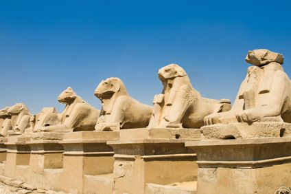 Schafe im Karnaka Tempel