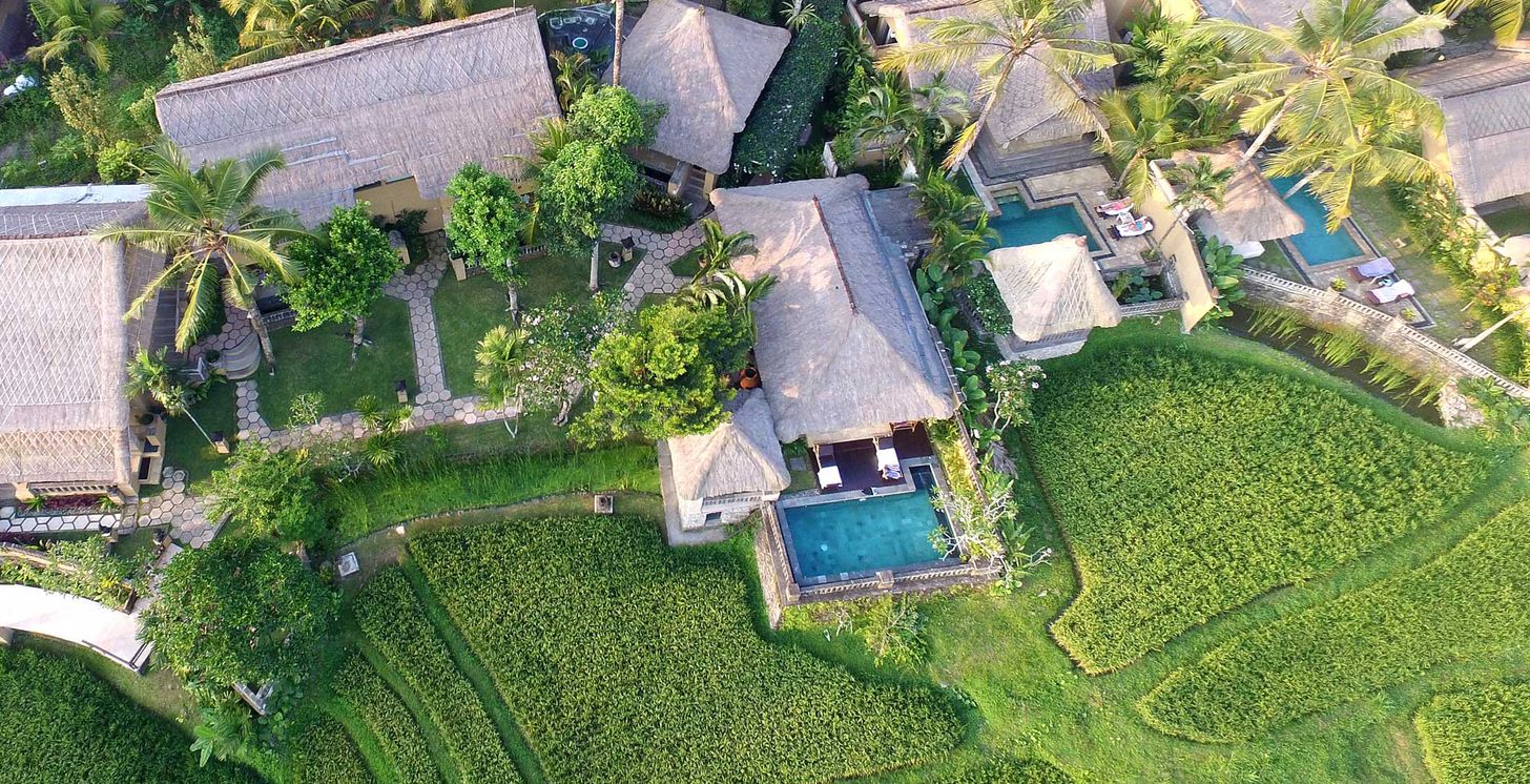 Wapa di Ume Ubud