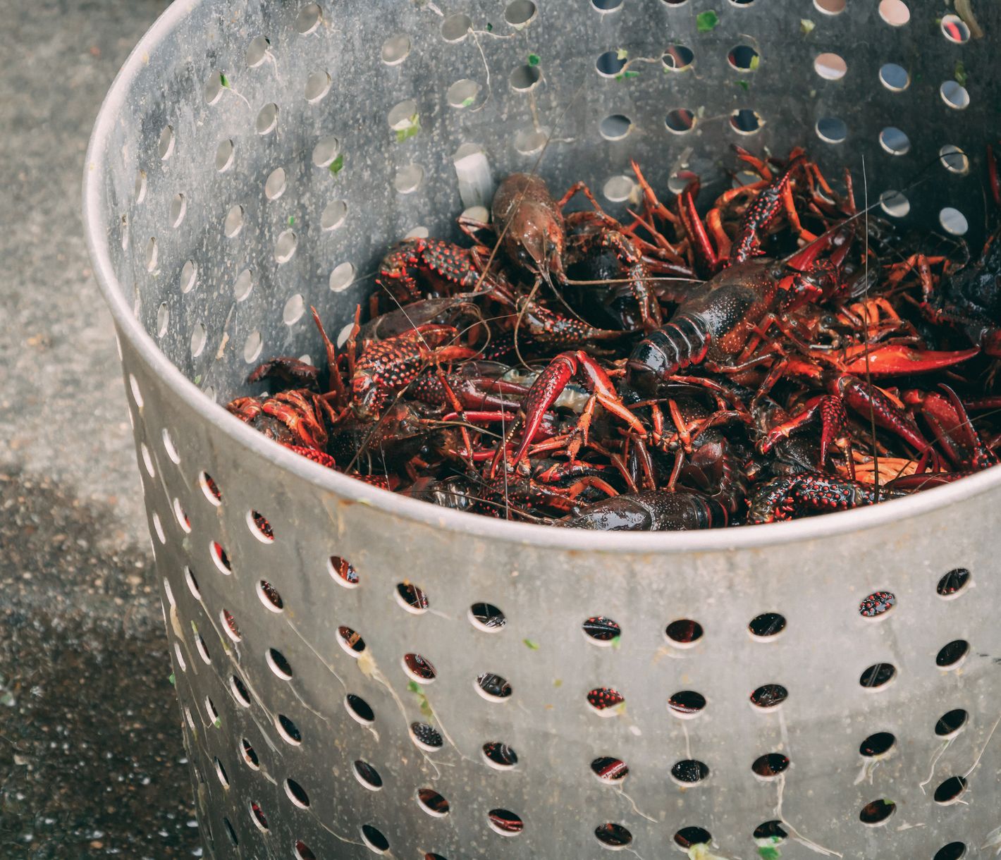 Die Stadt Lafayette ist für ihre köstlich zubereiteten Langusten berühmt.