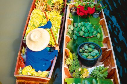 9. Bild der Unterkunft