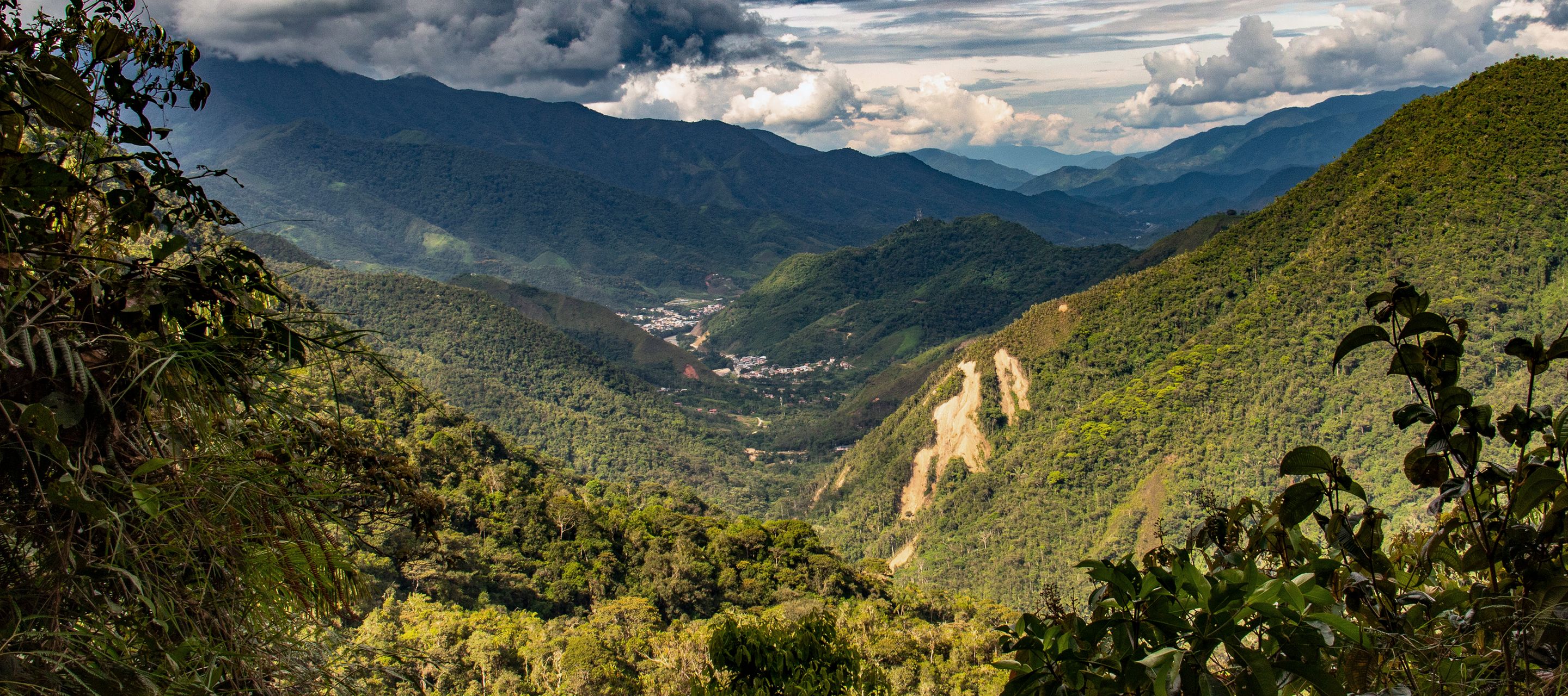 Wanderung im unberührten Nationalpark Podocarpus