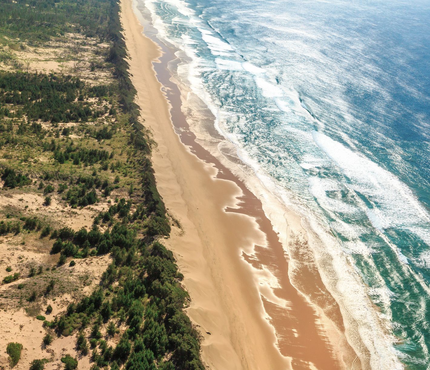 Zwischen Dünen, Busch und Ozean im Zululand