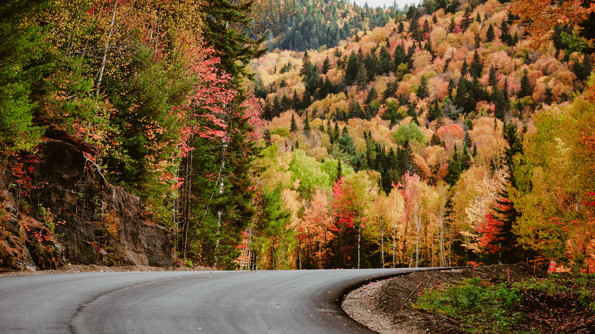 Strasse durch den farbenprächtigen Herbstwald im Mauricie Nationalpark