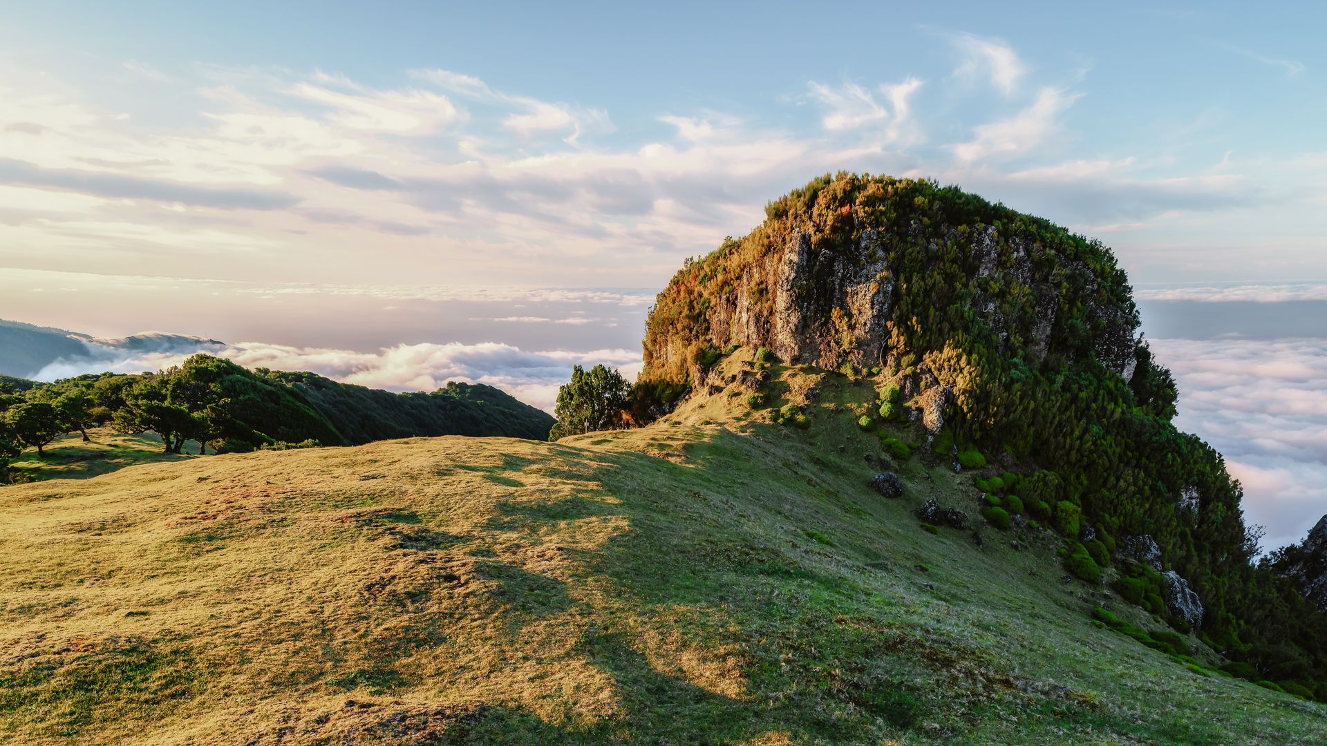Lorbeerwald auf Paul da Serra – ein grünes Juwel in den Höhen Madeiras