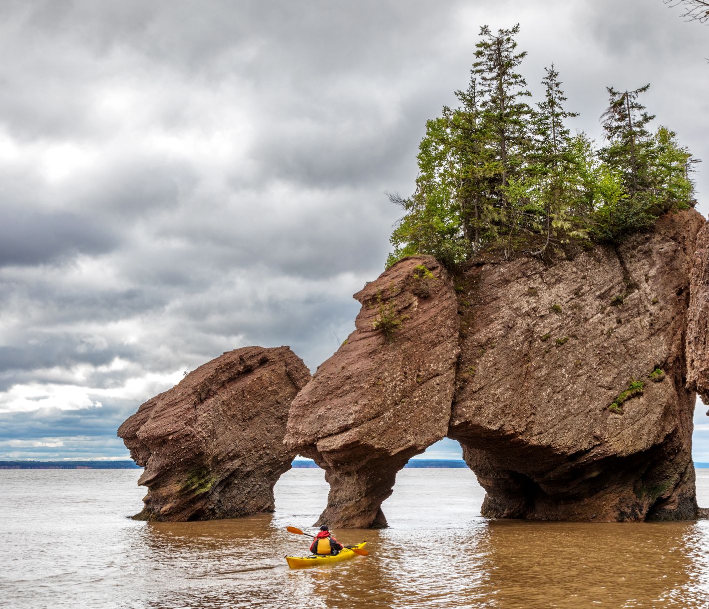 Spektakuläre Felsformationen in der Bay of Fundy
