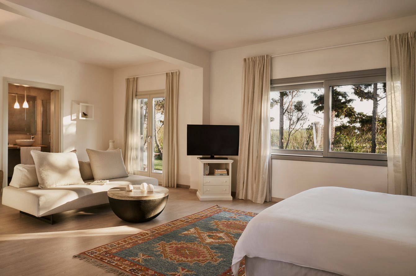 Suite Experience