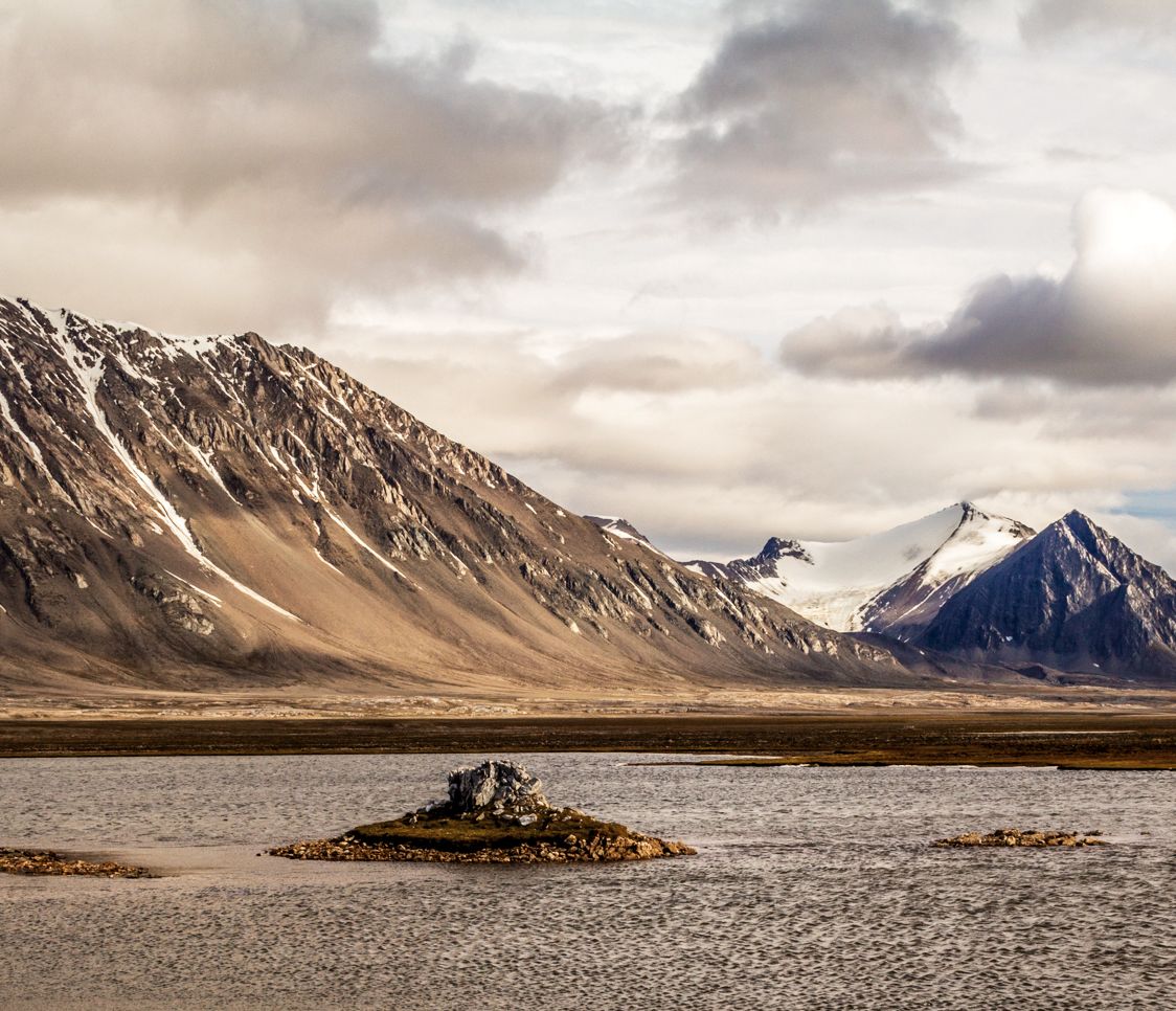 Walross, Polarbär, Robbe, Polarfuchs und Svalbard Rentier