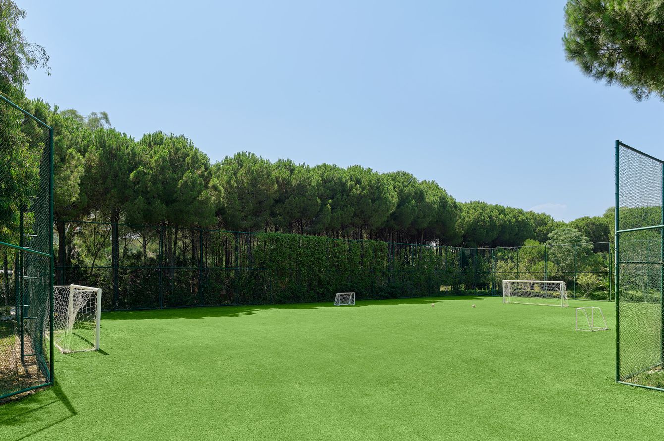 Terrain de sport