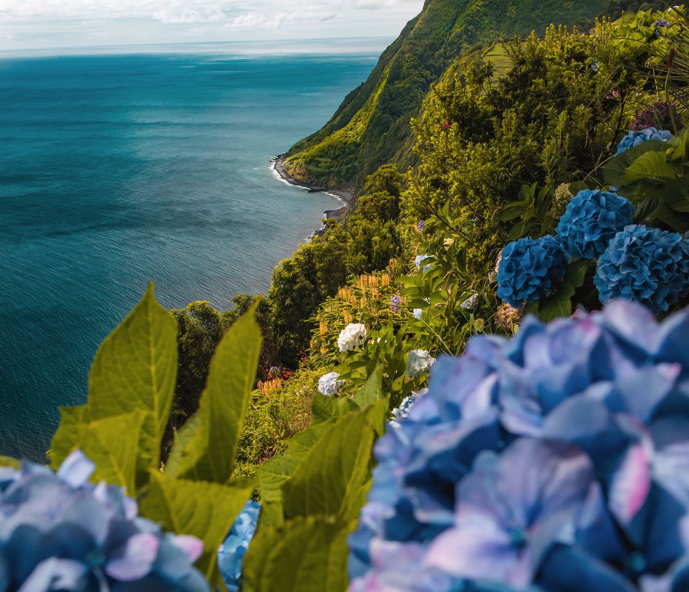 Blumenpracht auf den Inseln