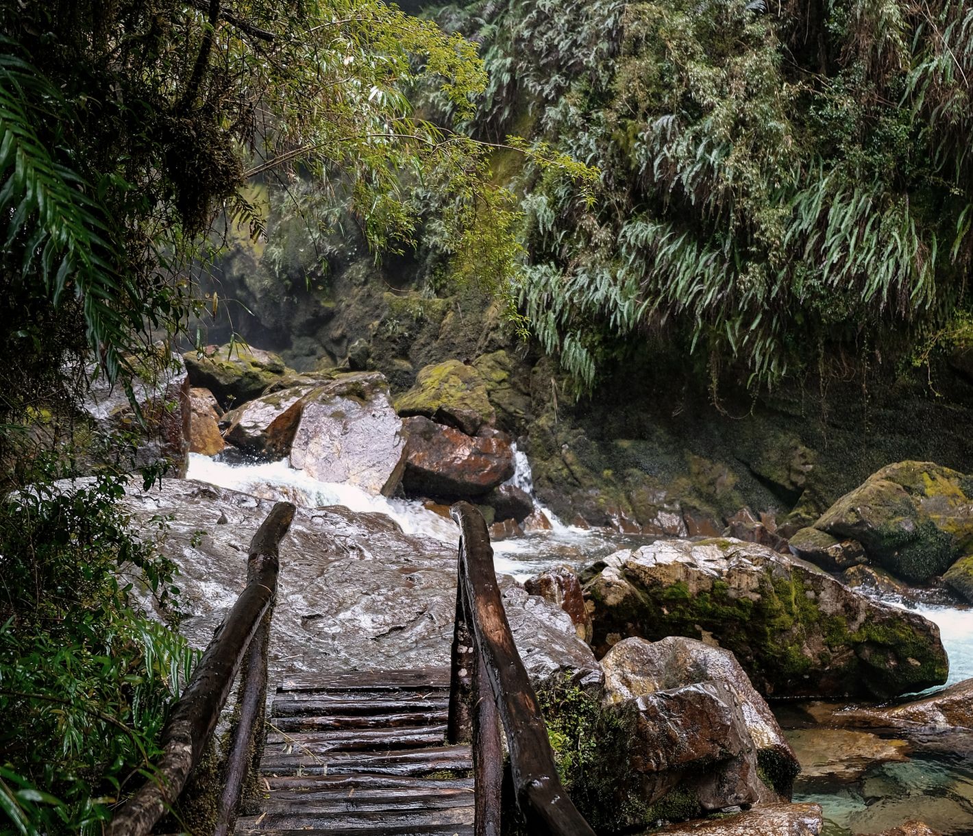Wandern in der Natur