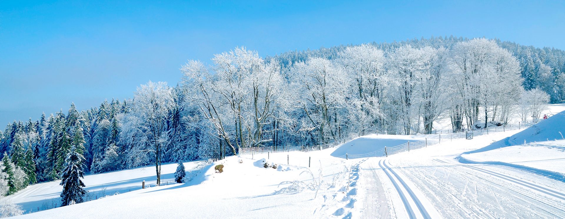 Paysage hivernale près de Bodenmais