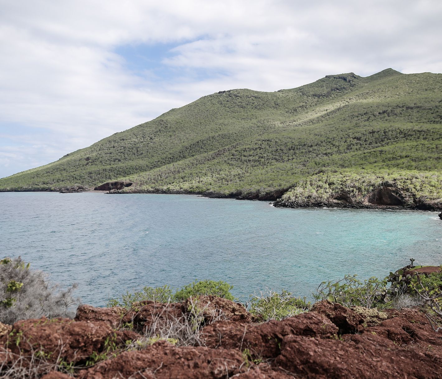 Auf der Insel Rabida