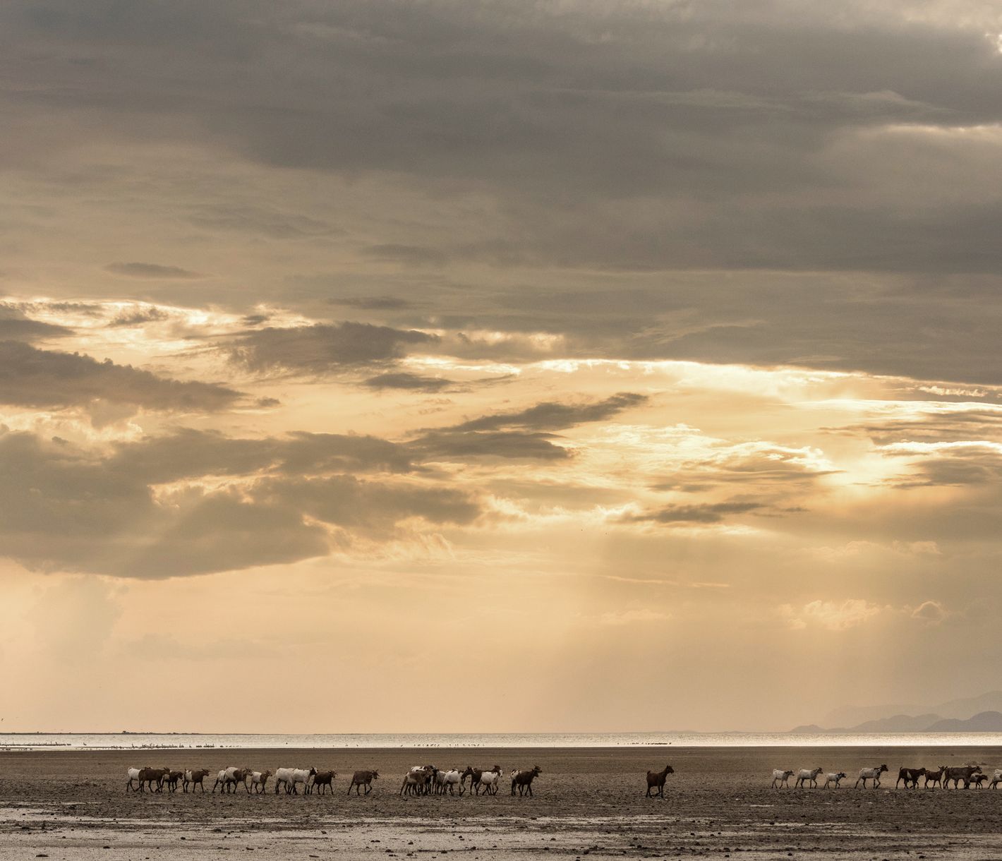 Ein Hirte des Volksstamms der Datoga mit seiner Ziegenherde am Lake Eyasi