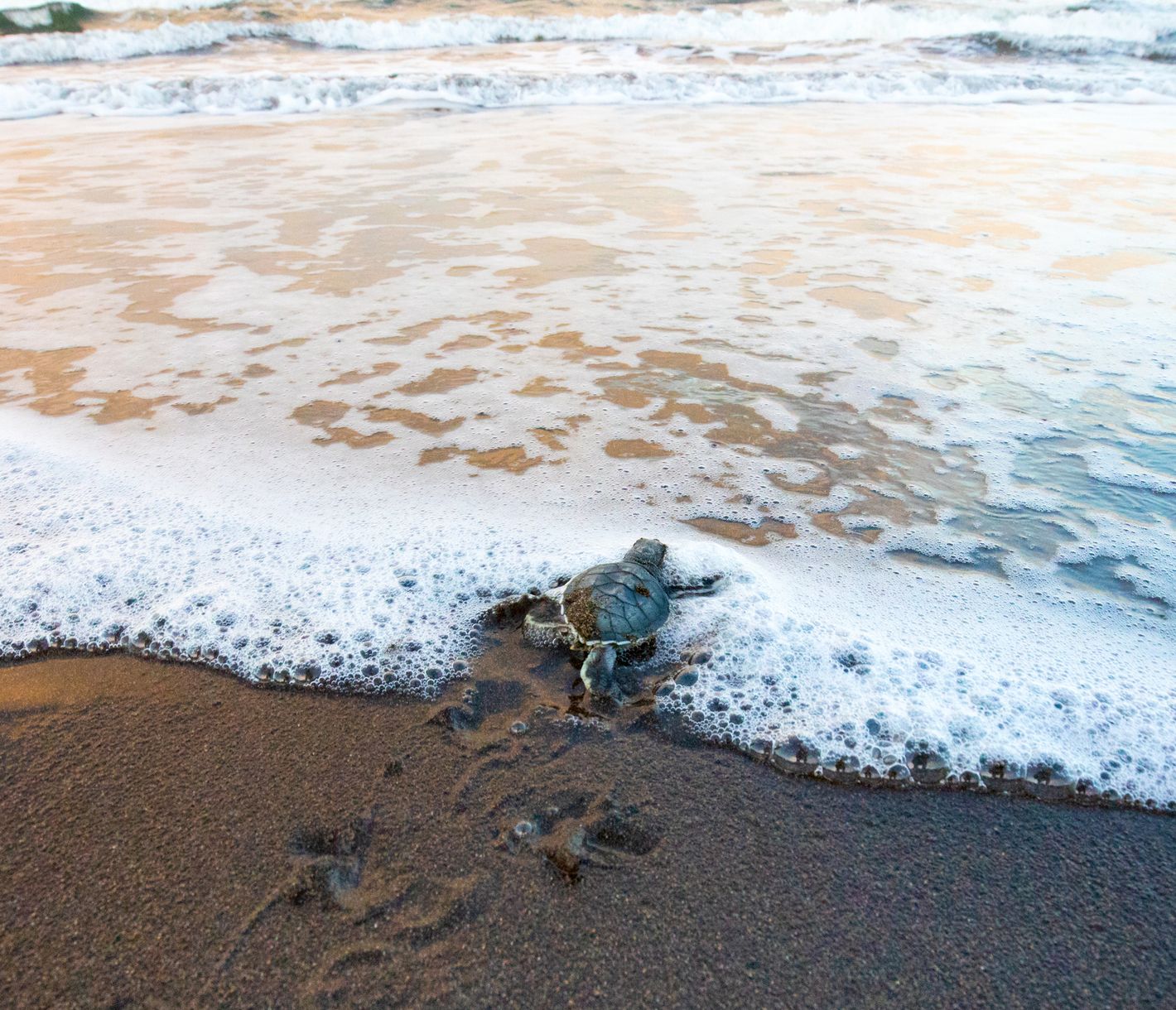 Der nicht ganz einfache Weg ins Meer