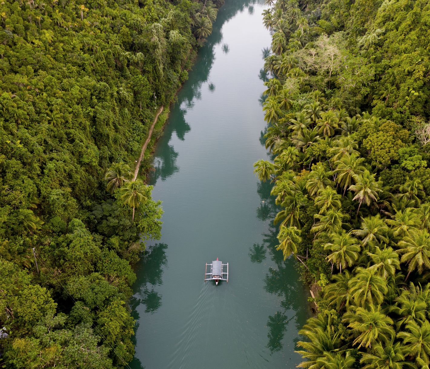 Während einer Flussfahrt auf dem Loboc-Fluss auf Bohol taucht man in richtig philippinisches Flair.