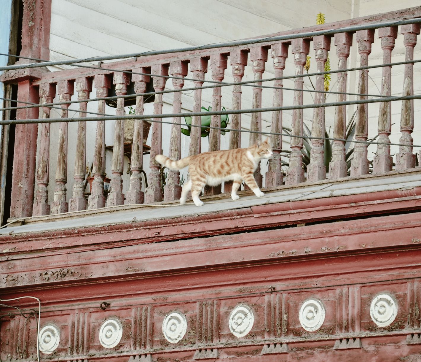 Über den Dächern von Iquique