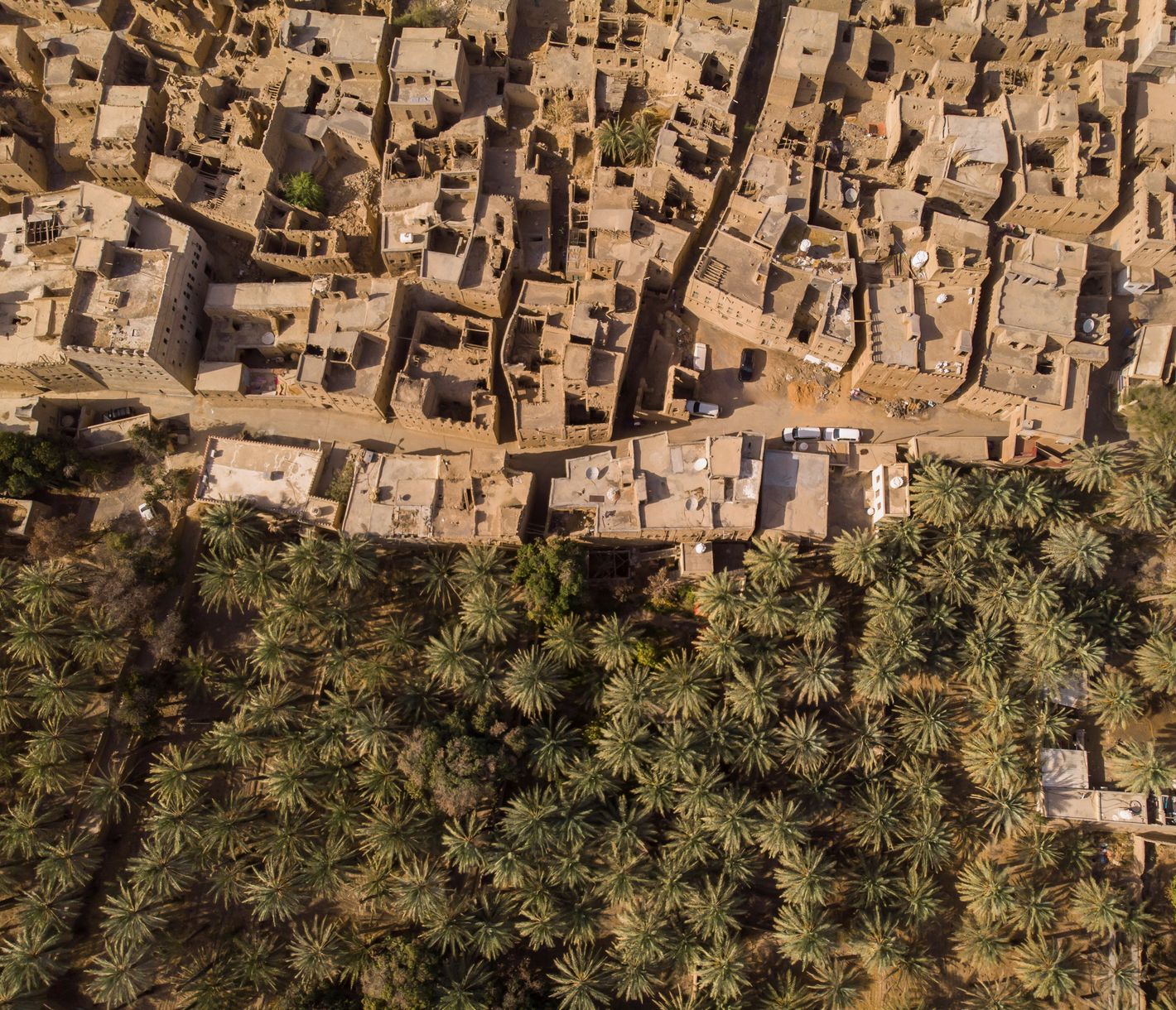 Jahrhundertealtes Al Hamra und seine Dattelplantage