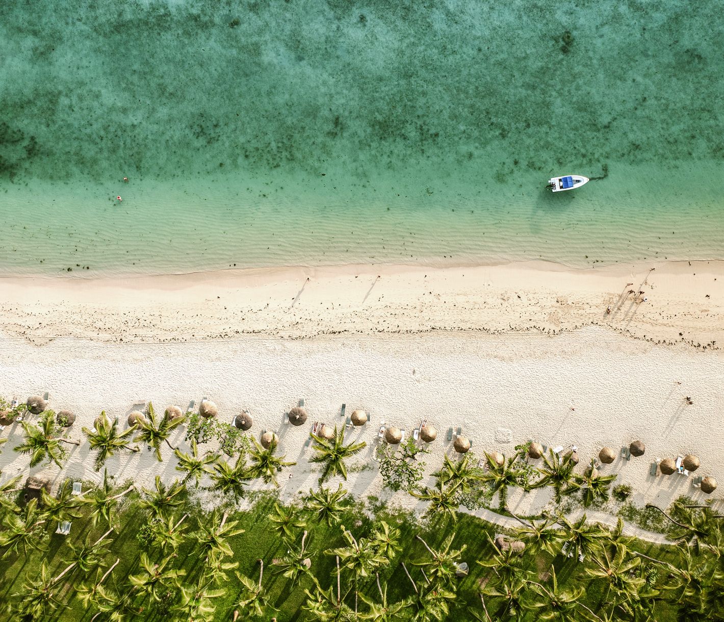 Blick auf den weissen Sand, die türkisblaue Lagune und Palmen am Strand von Flic en Flac.