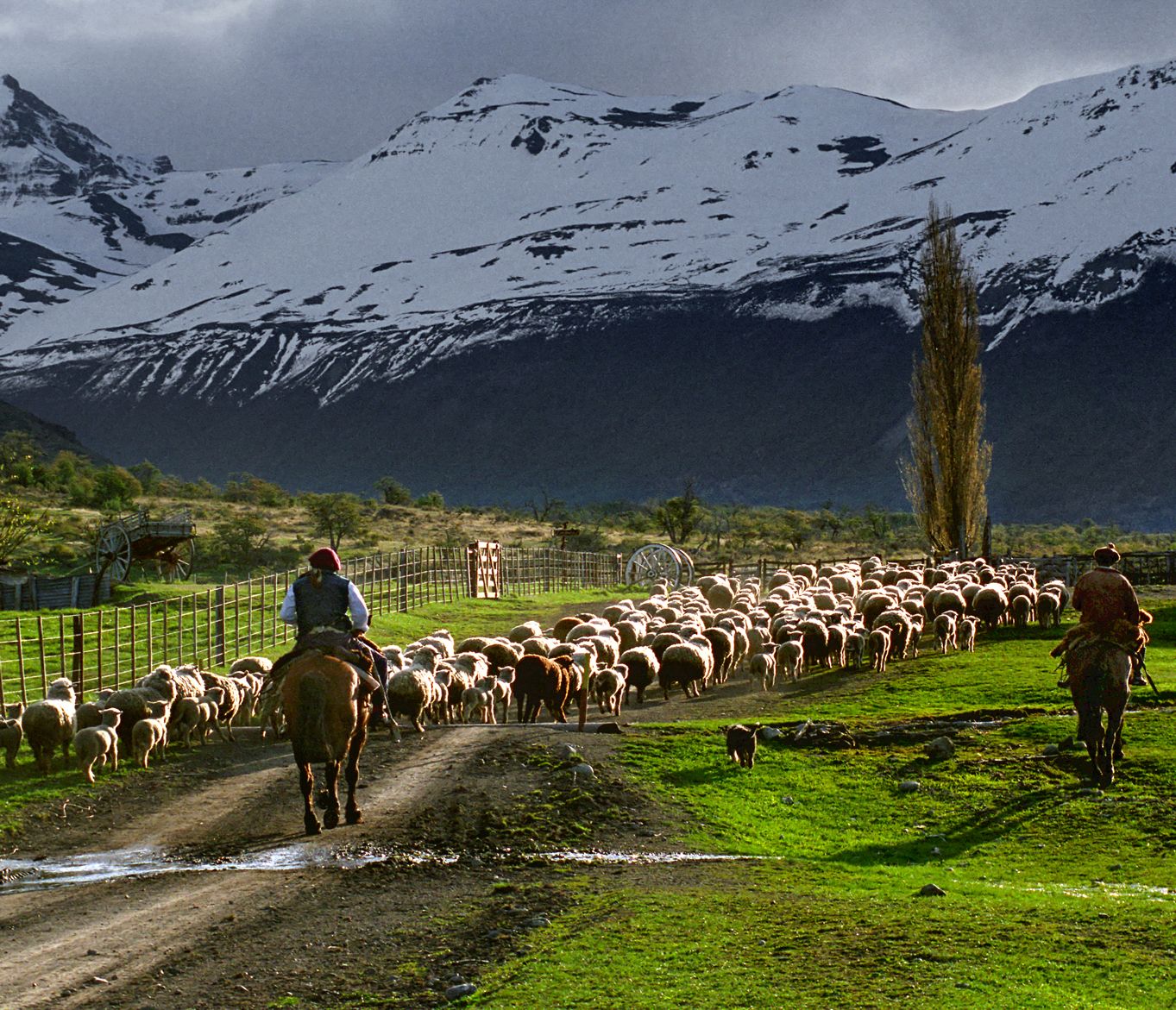 Per Du mit Gauchos auf der Schafestancia in Patagonien