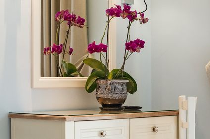 21. Bild der Unterkunft