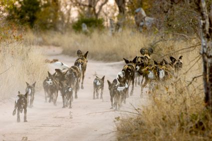 5. Bild der Rundreise