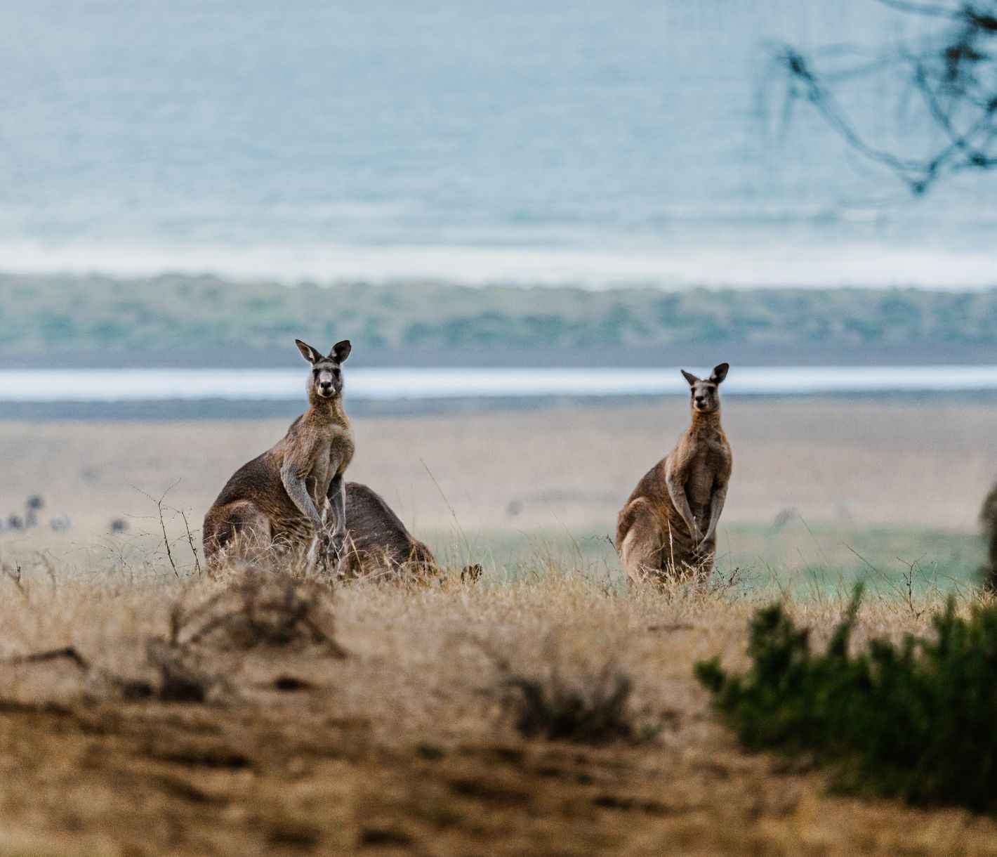Wer ist denn da unterwegs?