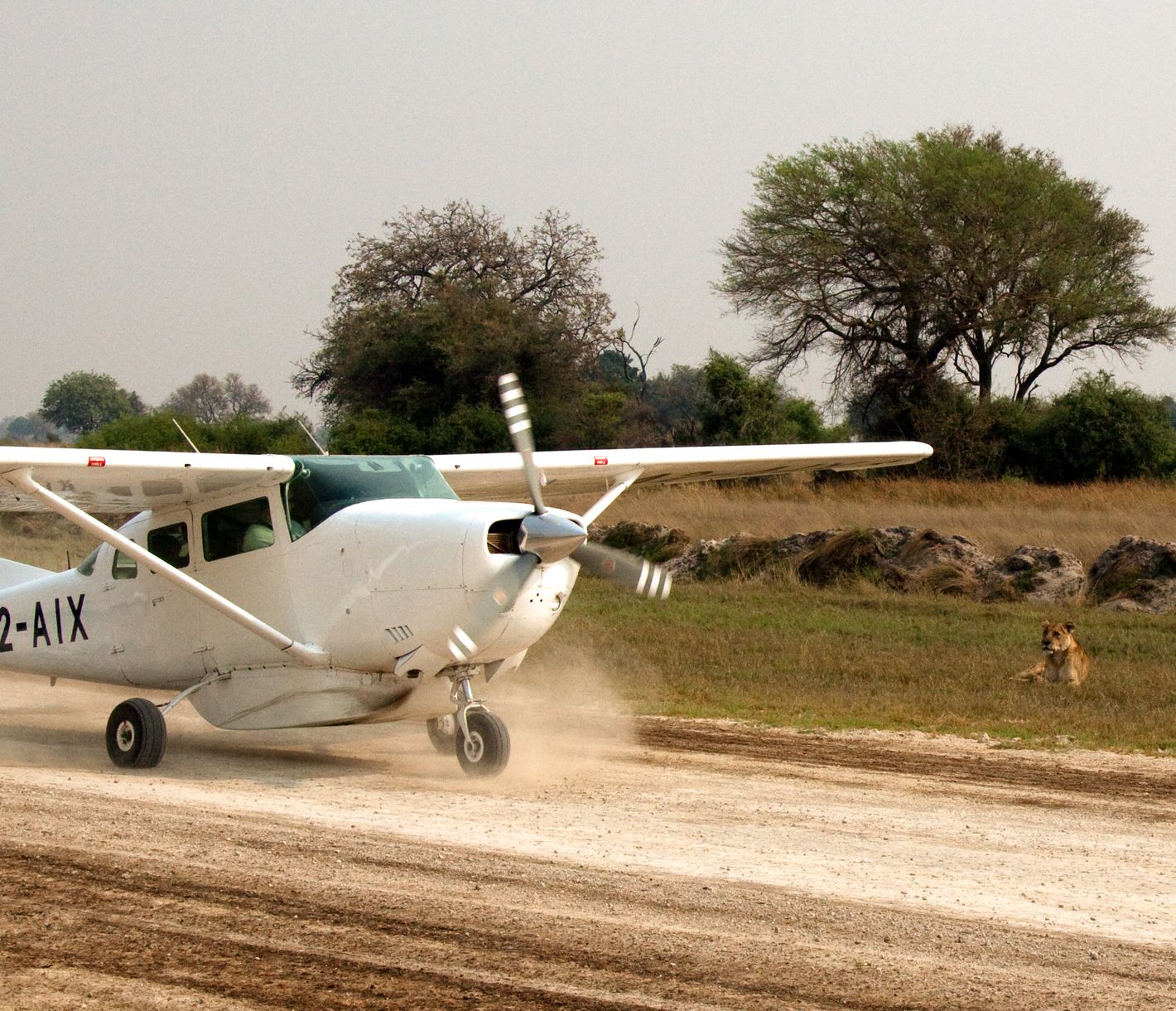 Mit dem Kleinflugzeug die Landschaft von oben bestaunen