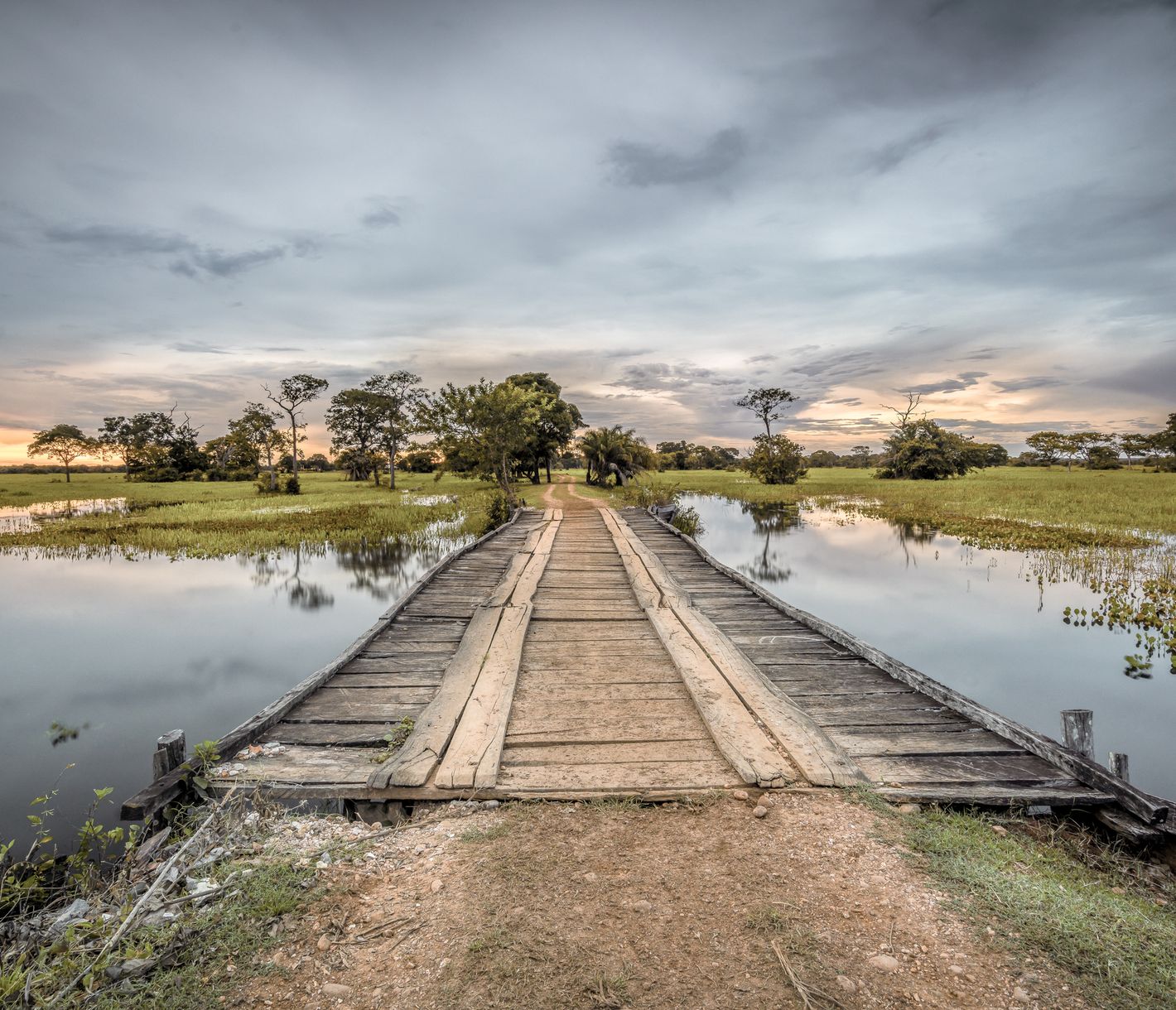 Das Pantanal ist das grösste Feuchtgebiet der Erde.