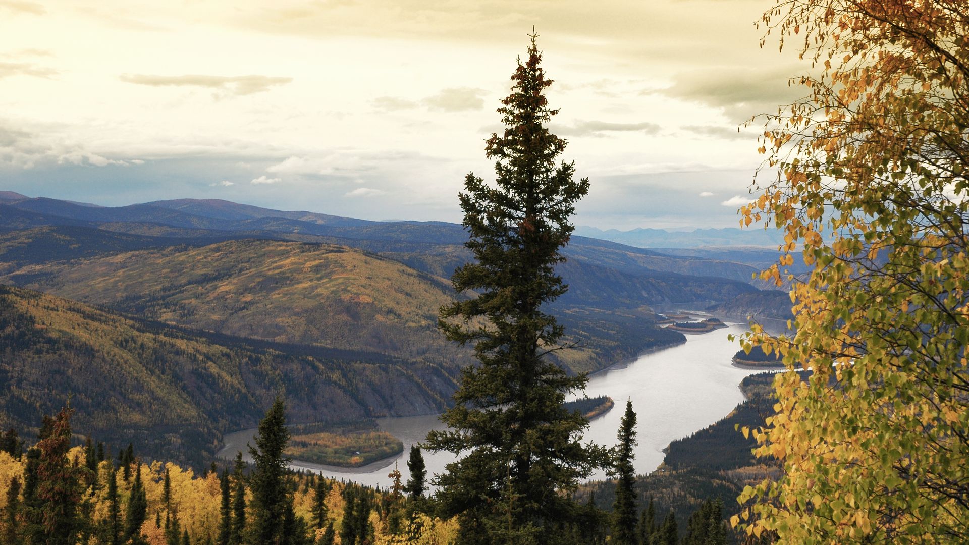 Vue depuis Midnight Dome à Dawson City.