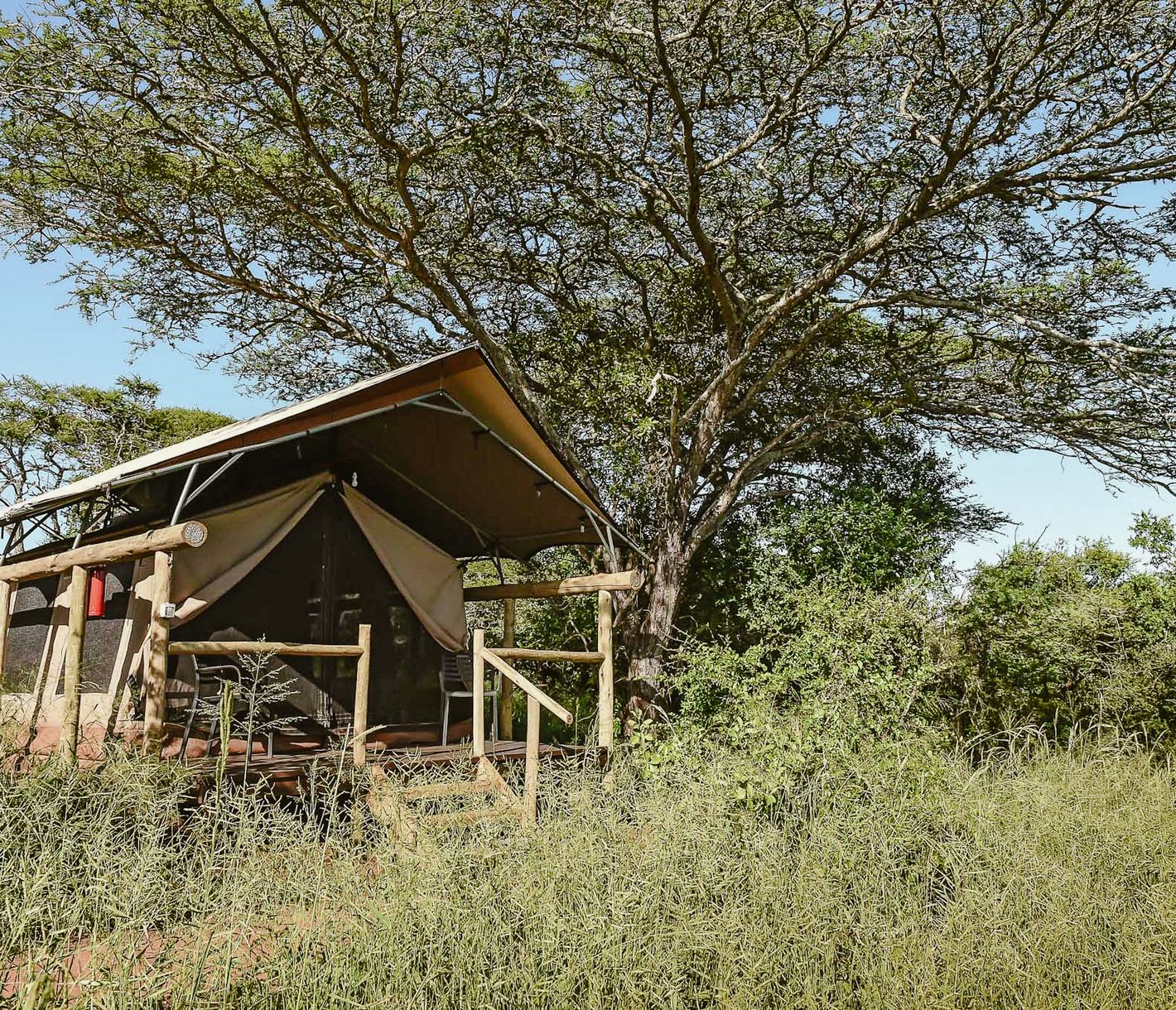 Die Zelt-Unterkünfte der Zululand Lodge sind etwas erhöht gebaut.
