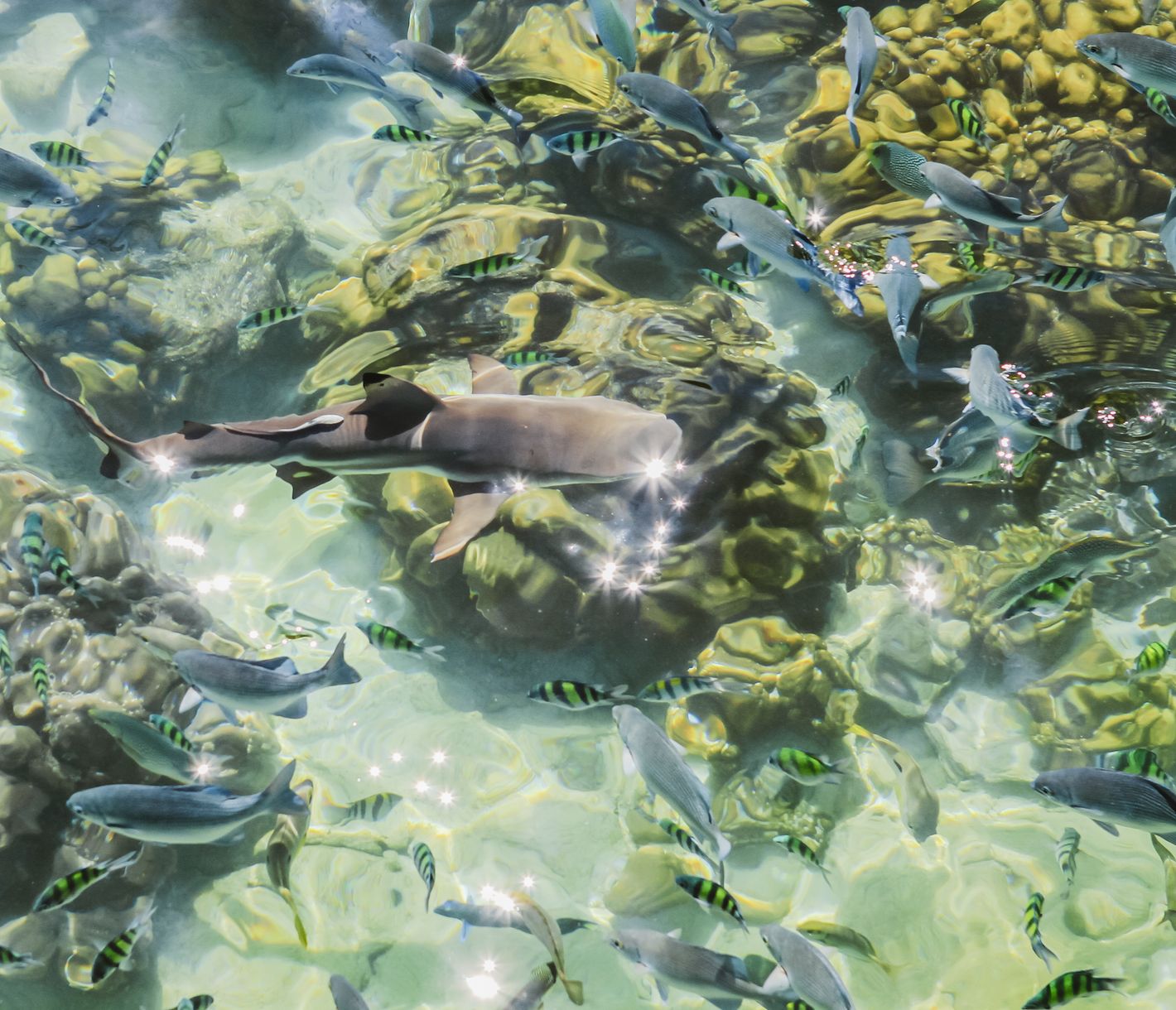 Pulau Payar Marine Park