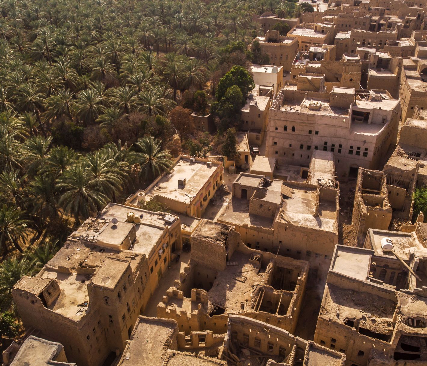 Altstadt Al Hamras und die Dattelplantage