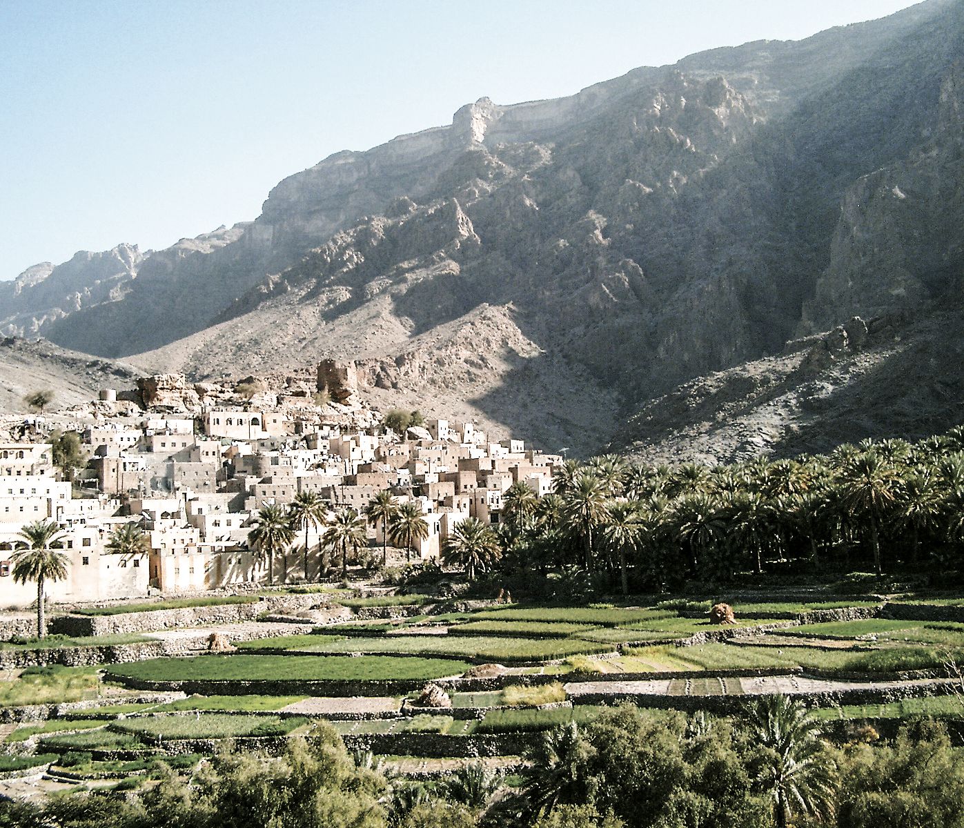 Jebel Akhdar : Montagnes verdoyantes d’Oman et trésors naturels
