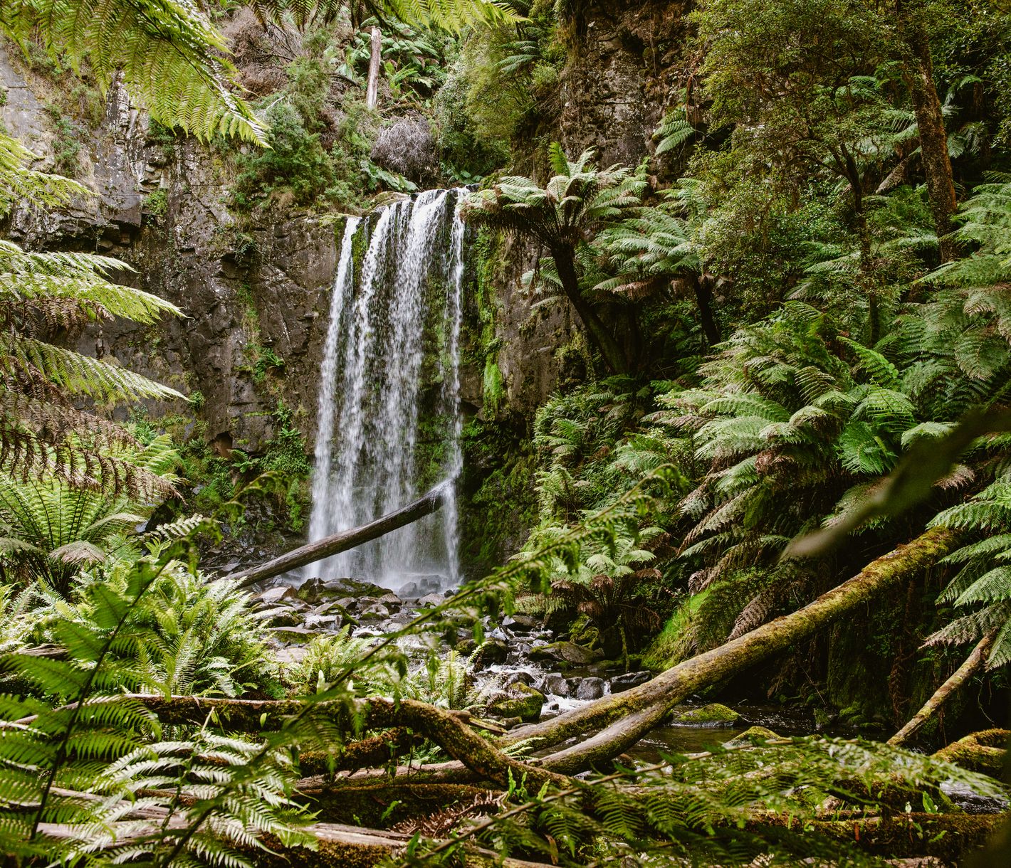 Great Otway National Park