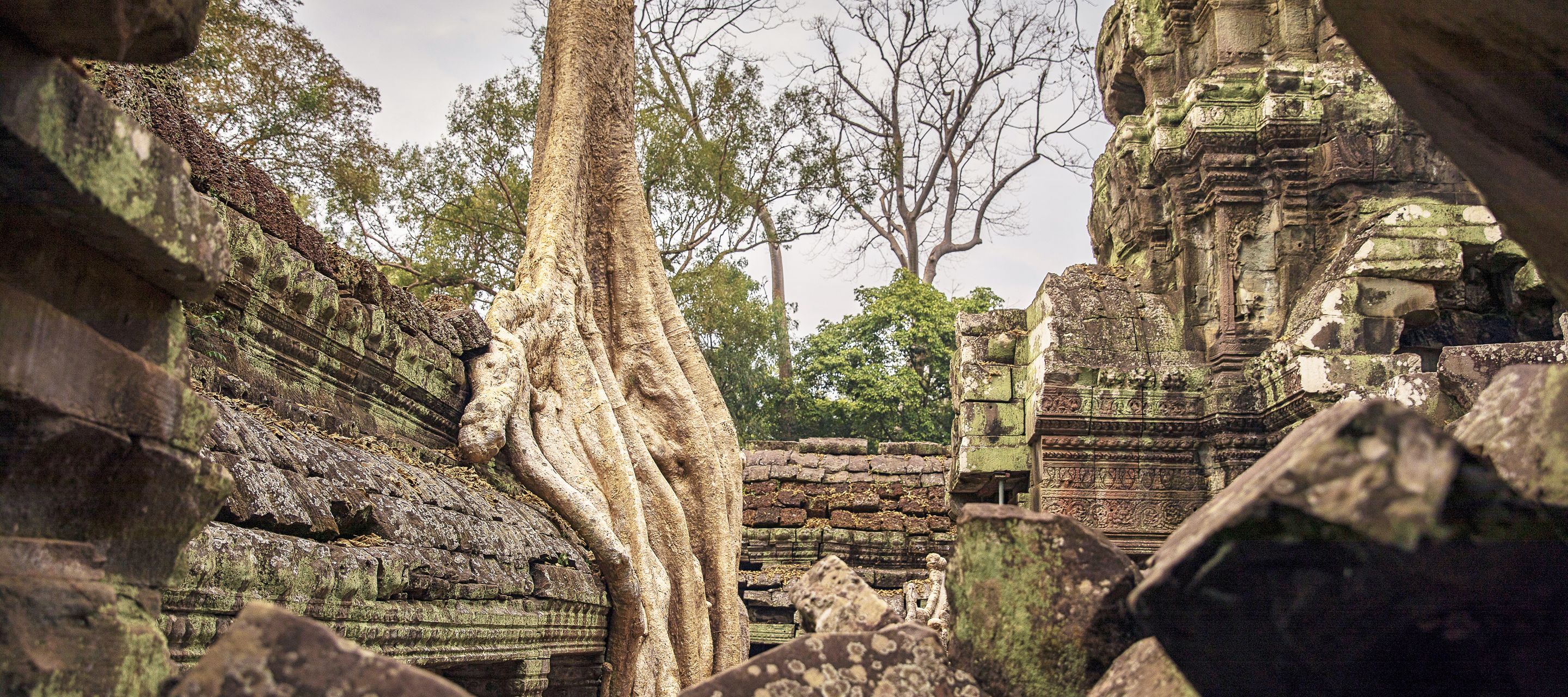 Le temple aux fromagers, un endroit poétique grâce à la présence d’une forêt protectrice.